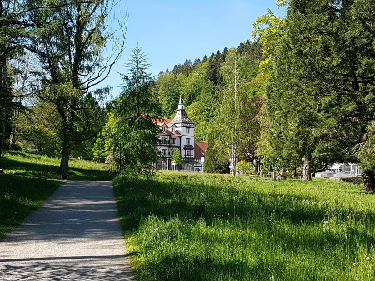 Am Klosterviertel Bad Herrenalb Kültér fotó