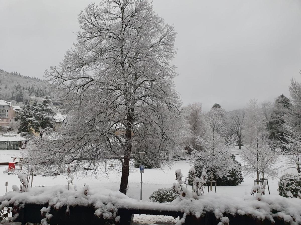 Am Klosterviertel Bad Herrenalb Kültér fotó